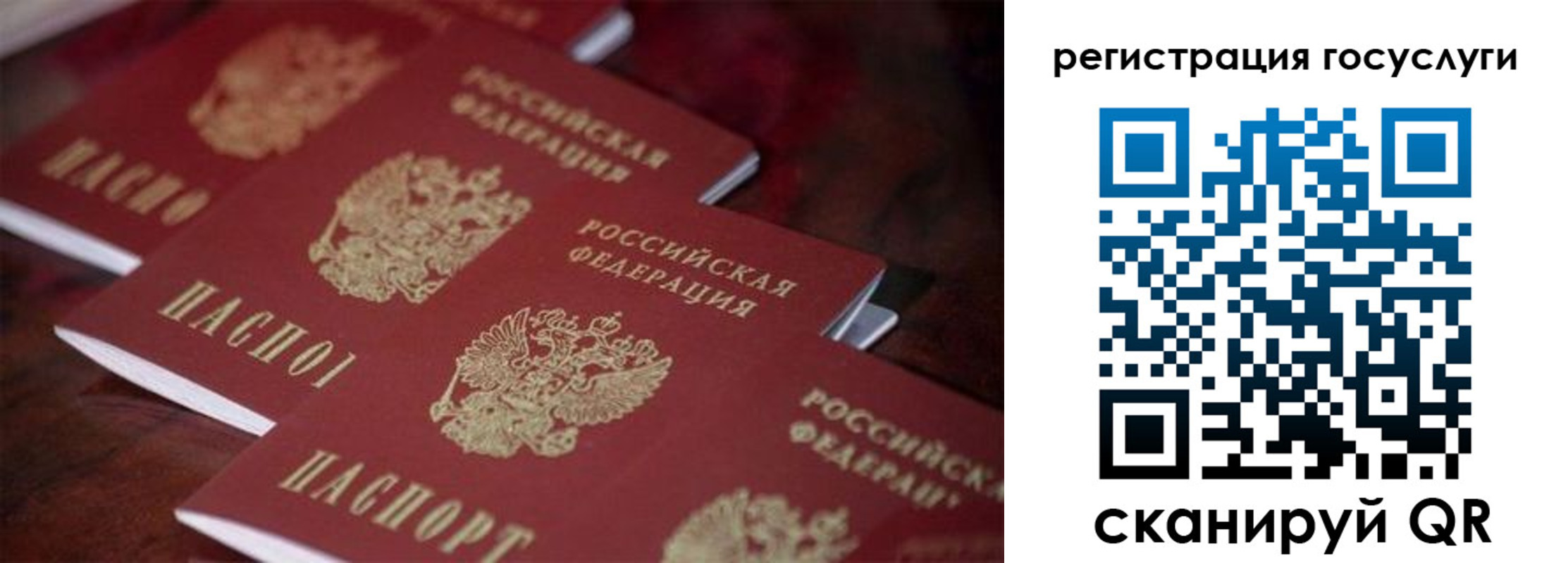 где прописаться в Гатчине